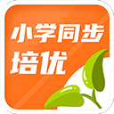 越南媒體：越南體工隊簽4新援，其中3人是在歐美成長的越南裔球員